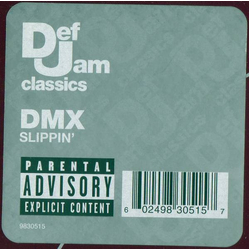 DMX Slippin' Vinyl 12" USED