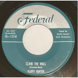 Fluffy Hunter Climb The Wall / To Say I Love You Vinyl 7" USED