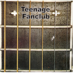 Teenage Fanclub What You Do To Me Vinyl 7" USED