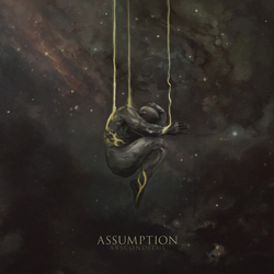 Assumption Absconditus Vinyl LP USED