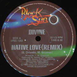 Divine / Shining Star Native Love (Remix) / The Stranger Vinyl 12" USED