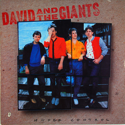 David & The Giants Under Control Vinyl LP USED