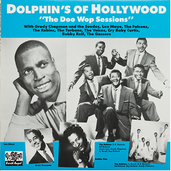 Various Dolphin's Of Hollywood "The Doo Wop Sessions" Vinyl LP USED
