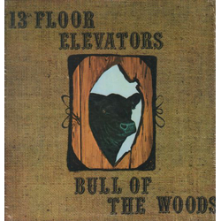 13th Floor Elevators Bull Of The Woods Vinyl LP USED
