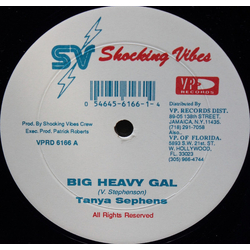 Tanya Stephens / Devonte Big Heavy Gal / Waan Test Vinyl 12" USED