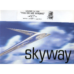 S 'N' S You Do Me Wrong Vinyl 12" USED