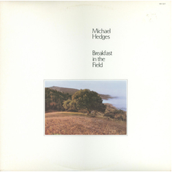 Michael Hedges Breakfast In The Field Vinyl LP USED