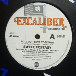 Sweet Ecstasy Pull Our Love Together Vinyl 12" USED