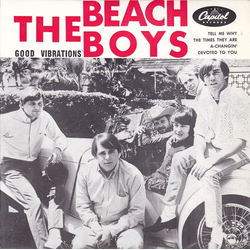 The Beach Boys Good Vibrations Vinyl 7" USED