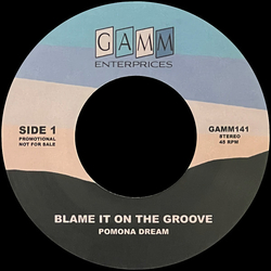 Pomona Dream Blame It On The Groove / San Francisco Vinyl 7" USED