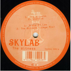 Skylab (2) The Witness Vinyl 12" USED