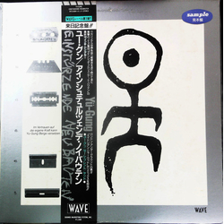 Einstürzende Neubauten Yü-Gung Vinyl 12" USED
