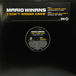 Mario Winans / Enya / P. Diddy / Foxy Brown I Don't Wanna Know / Pretty Girl Bullshit Vinyl 12" USED