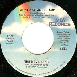 The Mavericks What A Crying Shame Vinyl 7" USED