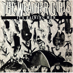 The Weather Girls It's Raining Men Vinyl 12" USED