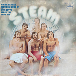 Steam Steam Vinyl LP USED