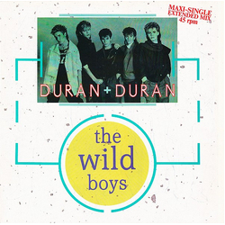 Duran Duran The Wild Boys Vinyl 12" USED