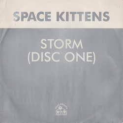 Space Kittens Storm Vinyl 12" USED