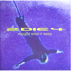 2 Die 4 You Got What It Takes Vinyl 7" USED