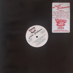 Janet Rushmore You Give Me Pleasure Vinyl 12" USED