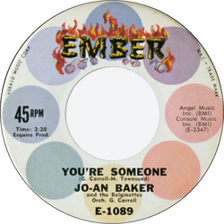 Joan Baker / The Belginettes You're Someone / Think About The Possibilities Vinyl 7" USED