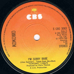 Kokomo I'm Sorry Babe Vinyl 7" USED