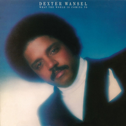 Dexter Wansel What The World Is Coming To Vinyl LP USED