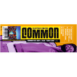 Common Come Close Vinyl 12" USED