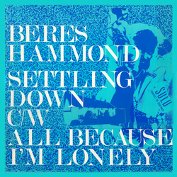 Beres Hammond Settling Down / All Because I'm Lonely Vinyl 12" USED