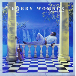 Bobby Womack So Many Rivers Vinyl LP USED