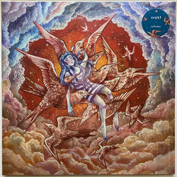 Covet Catharsis Vinyl LP USED