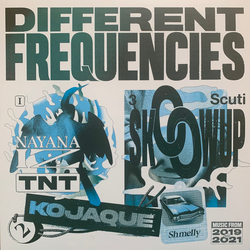 Various Different Frequencies Vinyl 12" USED