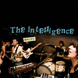 Intelligence Males Vinyl LP USED