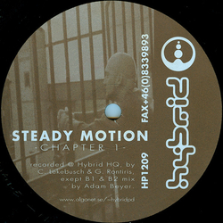 Steady Motion Chapter 1 Vinyl 12" USED