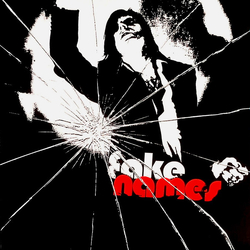 Fake Names Fake Names Vinyl 7" USED