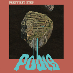 Prettiest Eyes Pools Vinyl LP USED