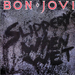 Bon Jovi Slippery When Wet Vinyl LP USED