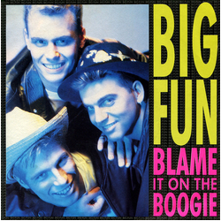 Big Fun Blame It On The Boogie Vinyl 7" USED