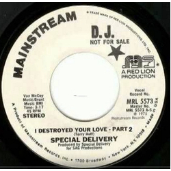 Special Delivery I Destroyed Your Love Vinyl 7" USED