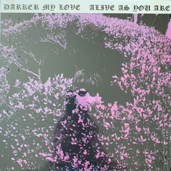 Darker My Love Alive As You Are Vinyl LP USED