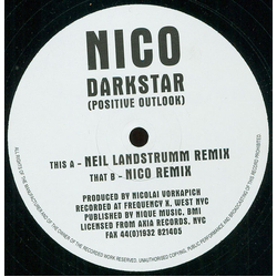 Nico Darkstar (Positive Outlook) Vinyl 12" USED