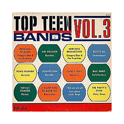 Various Top Teen Bands Vol. 3 Vinyl LP USED