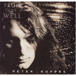 Peter Koppes From The Well Vinyl LP USED