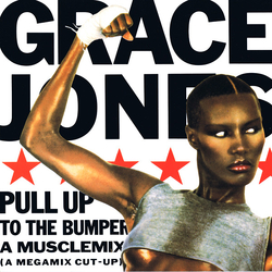 Grace Jones Pull Up To The Bumper (A Musclemix) (A Megamix Cut-up) Vinyl 12" USED