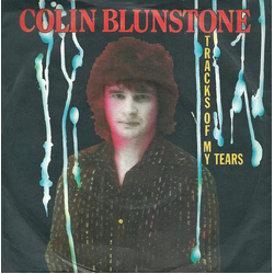 Colin Blunstone Tracks Of My Tears Vinyl 7" USED