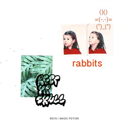 Boys (11) / Magic Potion (3) Rabbits / Rest Yr Skull Vinyl 7" USED