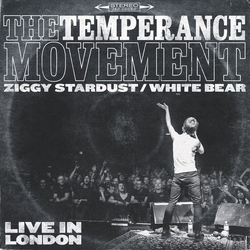 The Temperance Movement Ziggy Stardust / White Bear Vinyl 7" USED