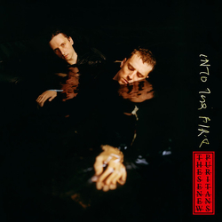 These New Puritans Into The Fire Vinyl 7" USED