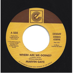 Marvin Gaye Where Are We Going? / Woman Of The World Vinyl 7" USED