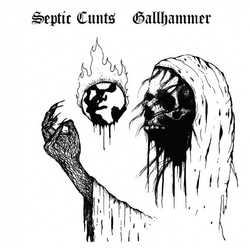 Septic Cunts / Gallhammer R.I.P 1986 Demo Rehearsal / Worship 2004 Demo Rehearsal Vinyl 12" USED